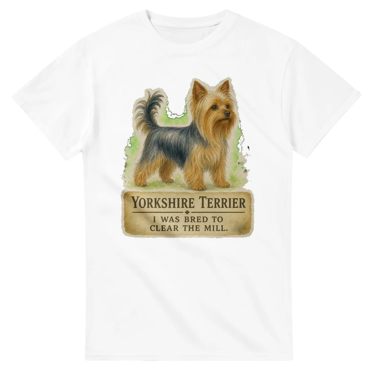 Yorkshire Terrier - Working Roots
