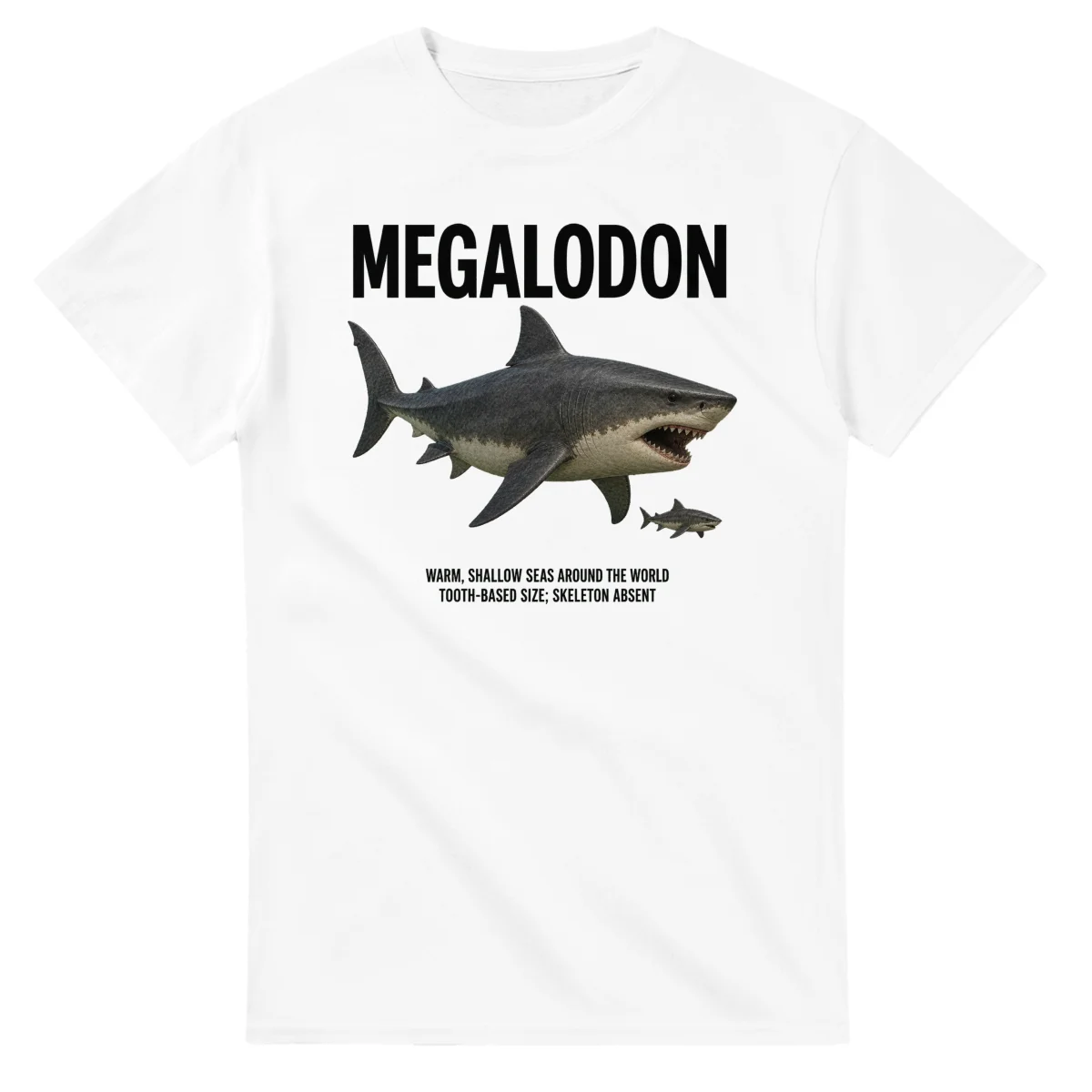 Megalodon - Artist's Impression