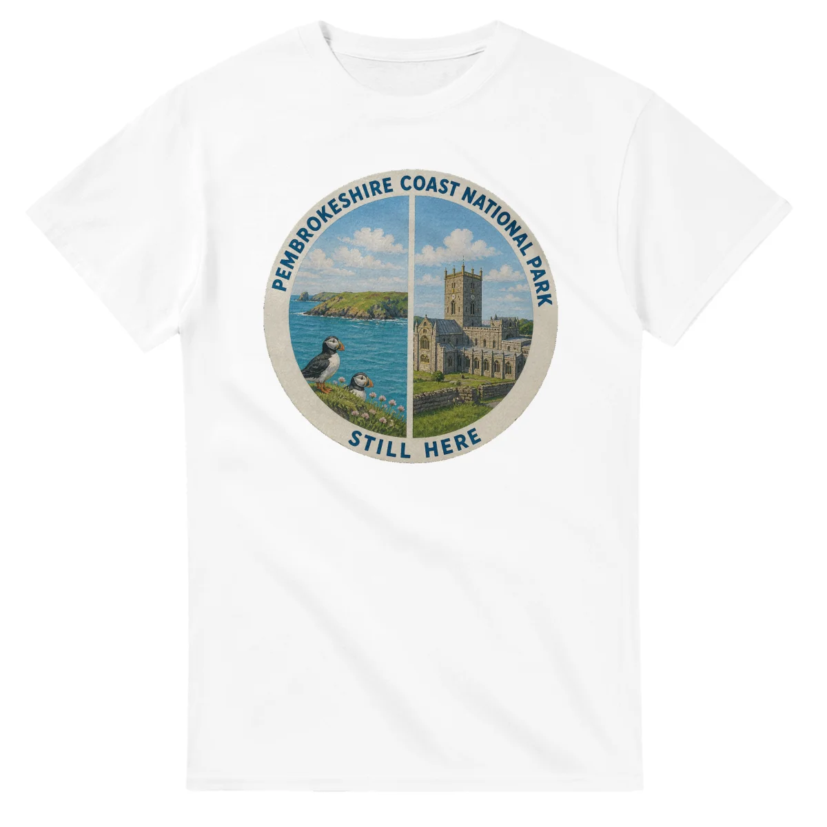 Painted, panelled scenic illustration for Pembrokeshire Coast National Park, with paired local scenes and the place name in lettering.