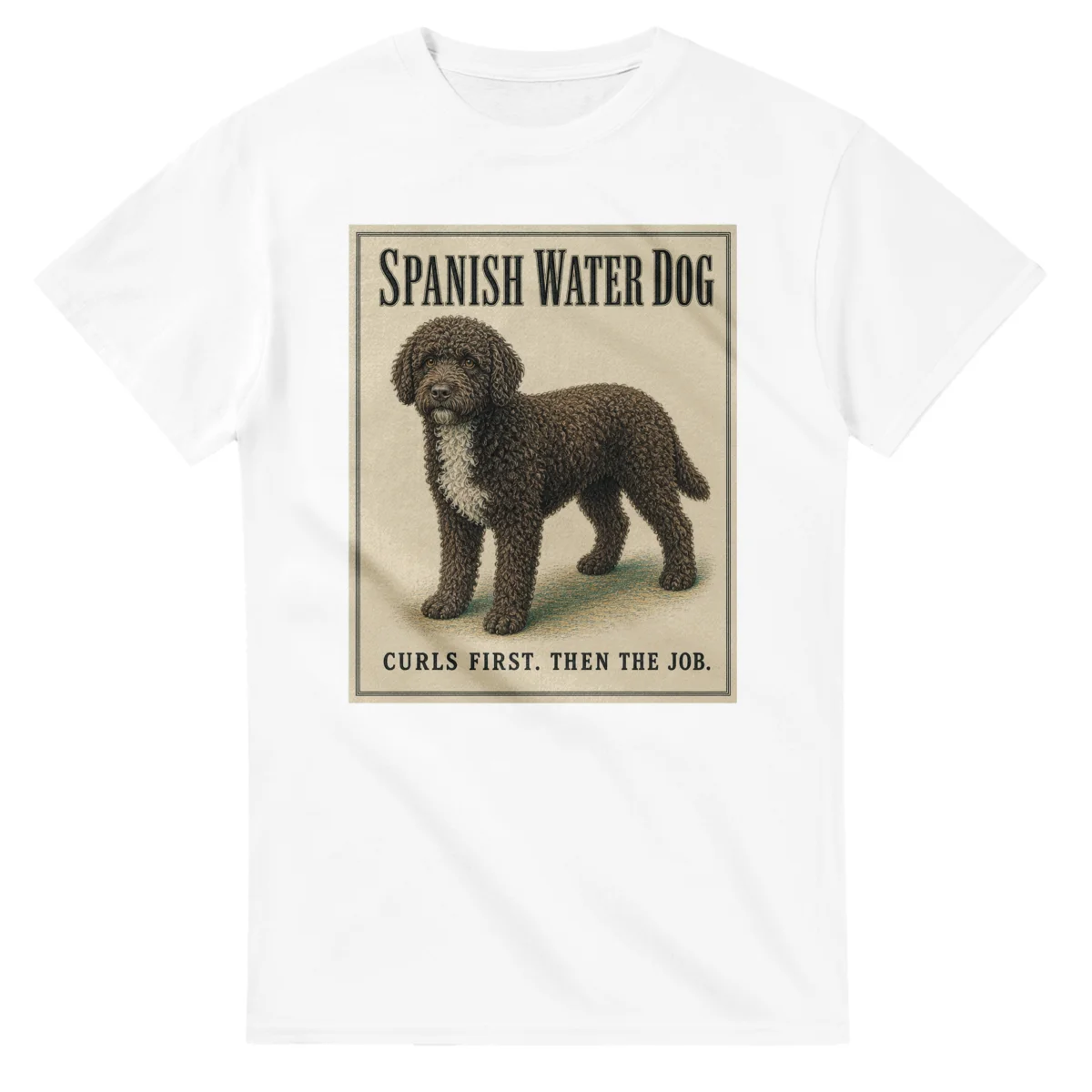 Spanish Water Dog - Well Bred