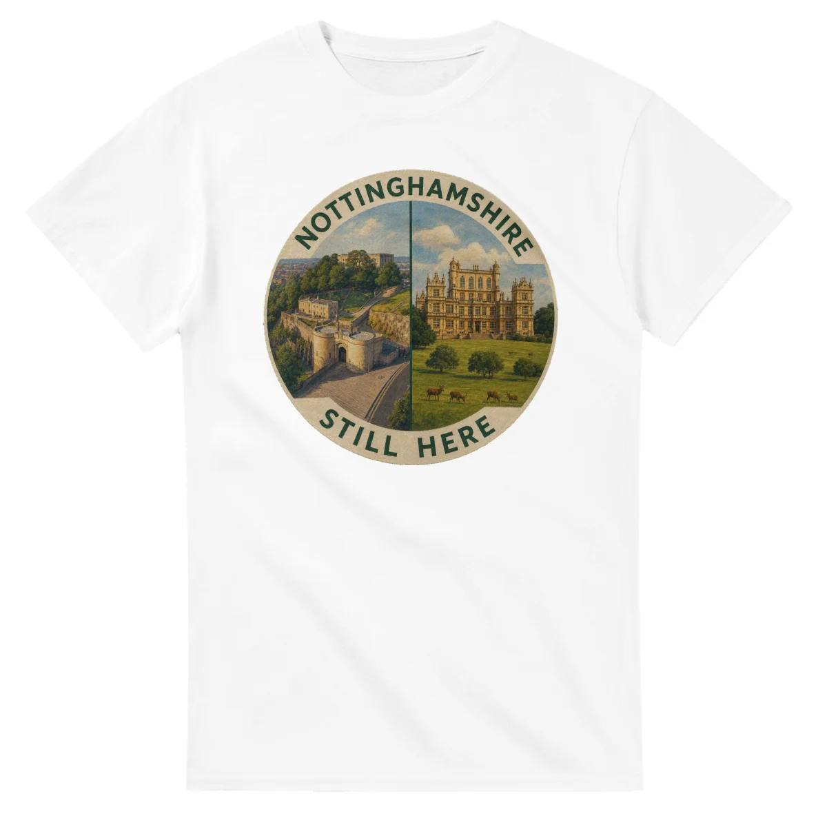 Painted, panelled scenic illustration for Nottinghamshire, with paired local scenes and the place name in lettering.