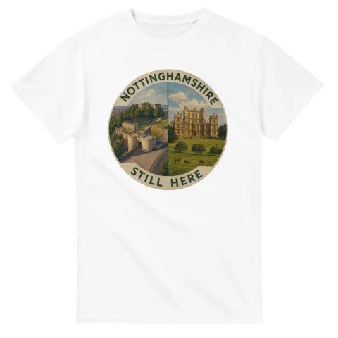 Painted, panelled scenic illustration for Nottinghamshire, with paired local scenes and the place name in lettering.