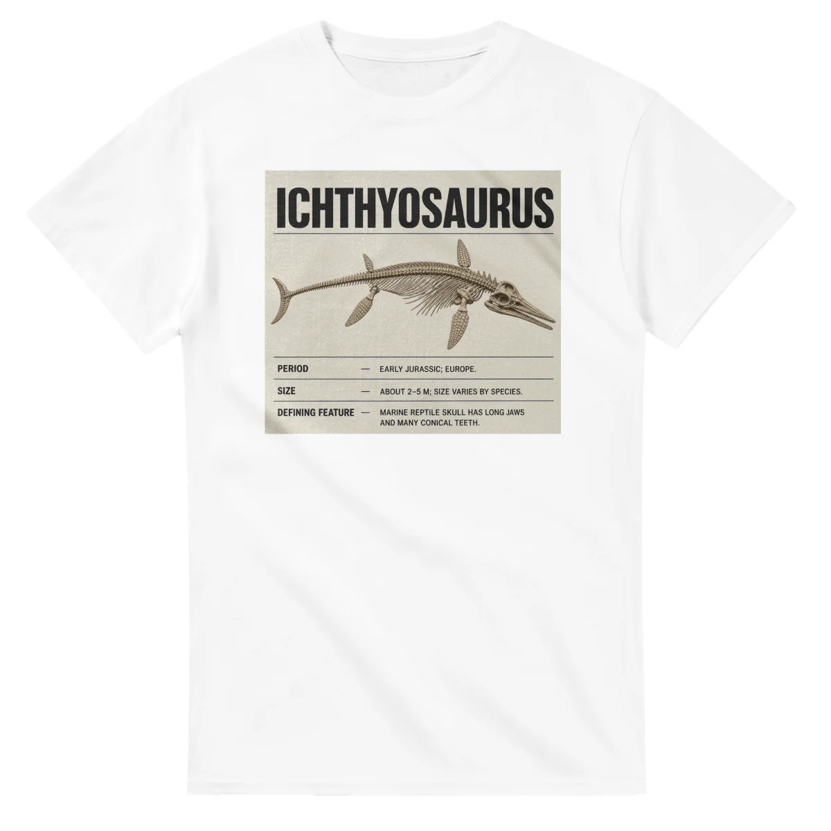 Ichthyosaurus - Set in Stone