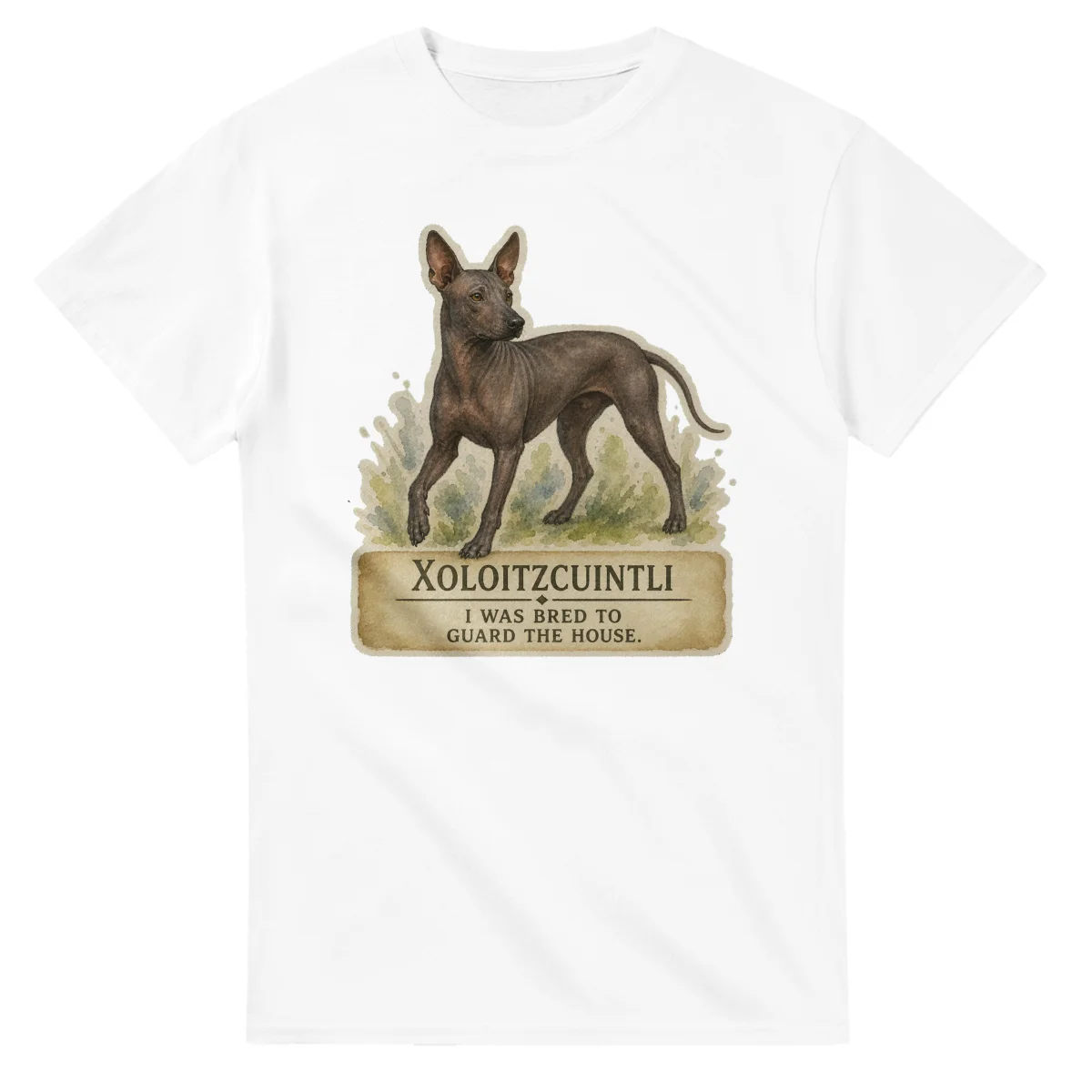 Xoloitzcuintli - Working Roots