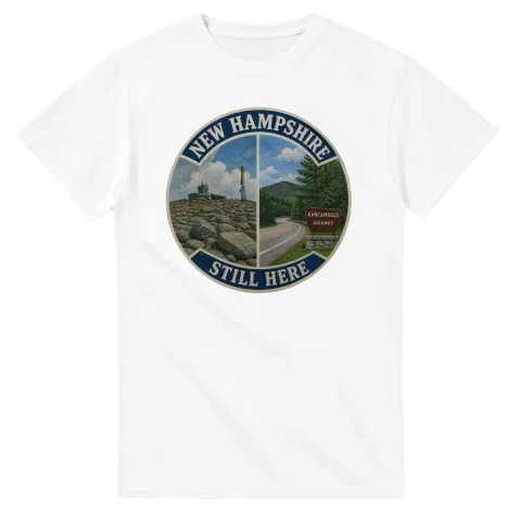 Painted, panelled scenic illustration for New Hampshire, with paired local scenes and the place name in lettering.