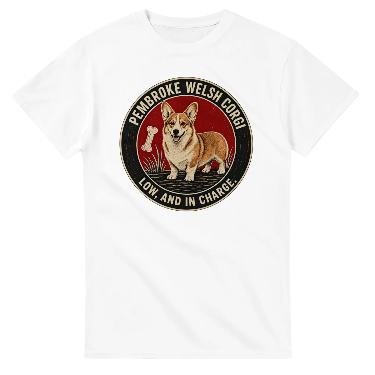 Pembroke Welsh Corgi - Low, and In Charge