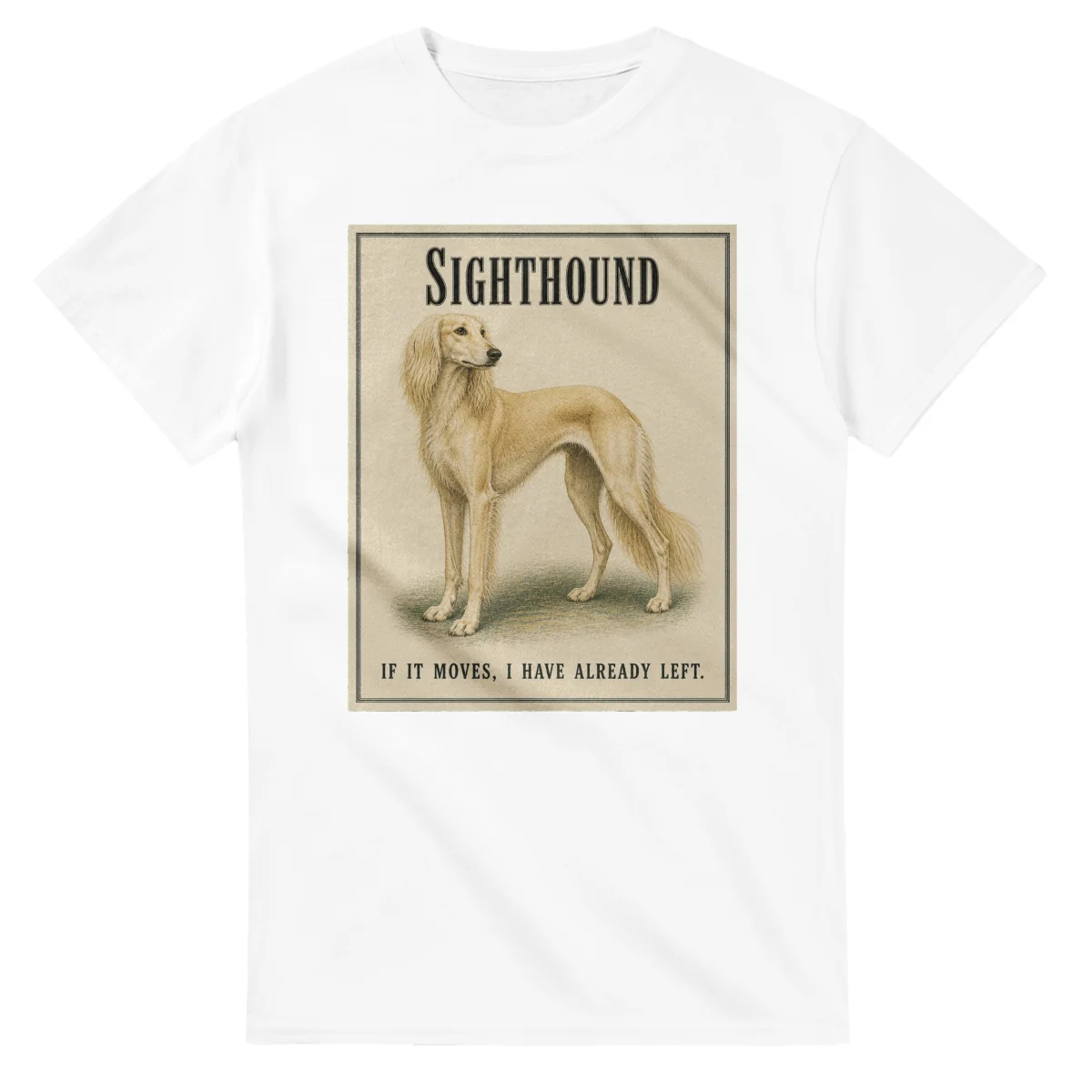 Sighthound - Well Bred