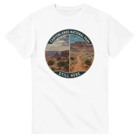 Painted, panelled scenic illustration for Canyonlands National Park, with paired local scenes and the place name in lettering.