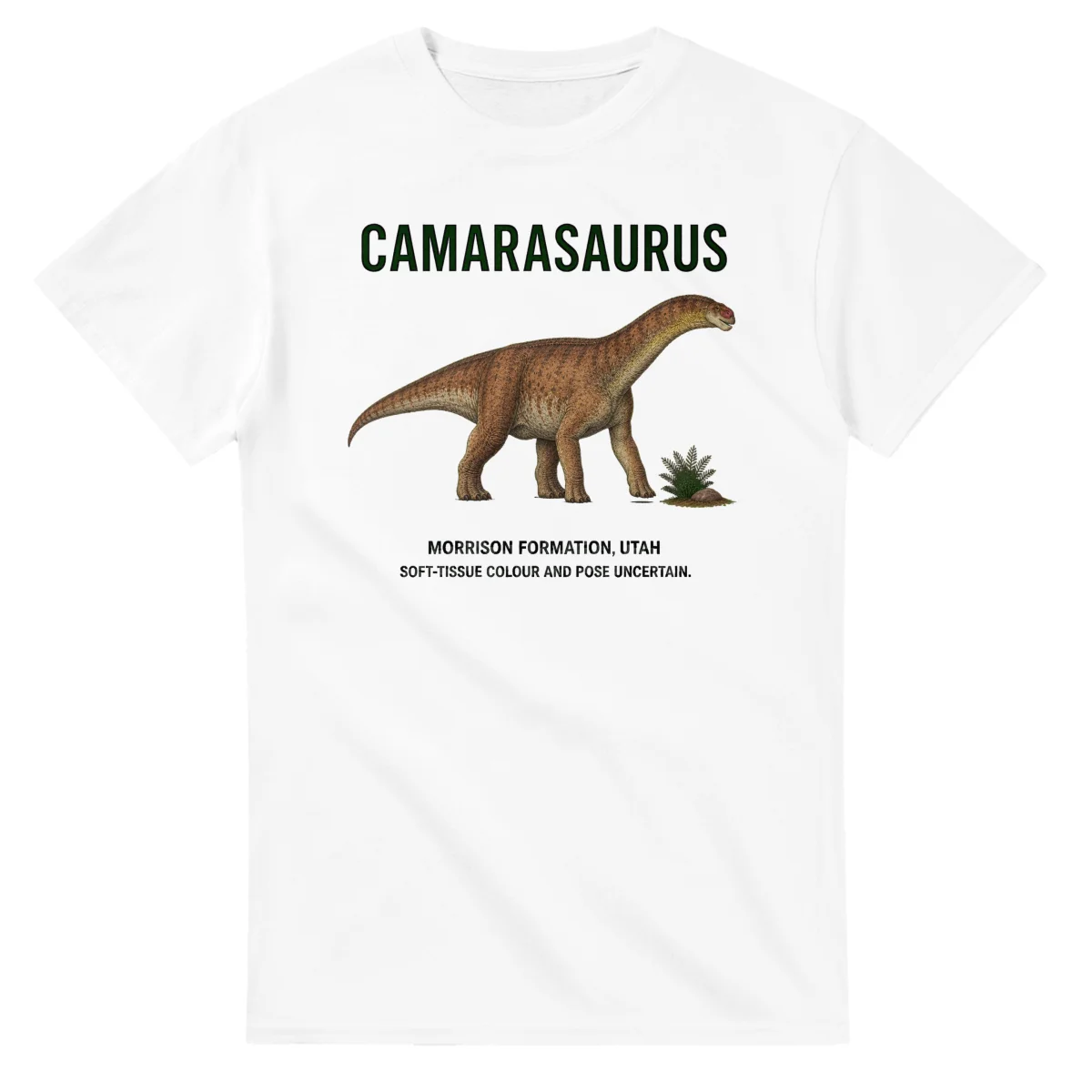 Camarasaurus - Artist's Impression