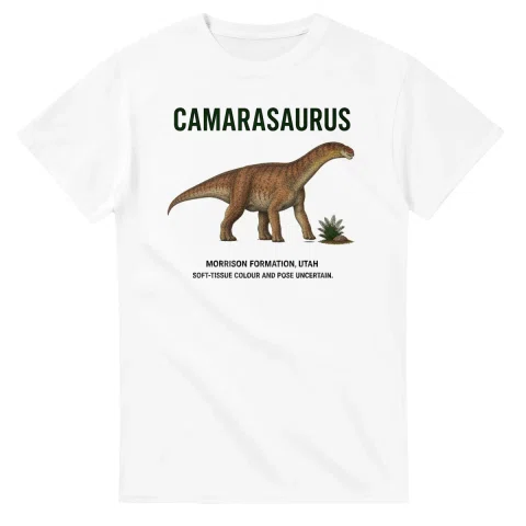 Camarasaurus - Artist's Impression