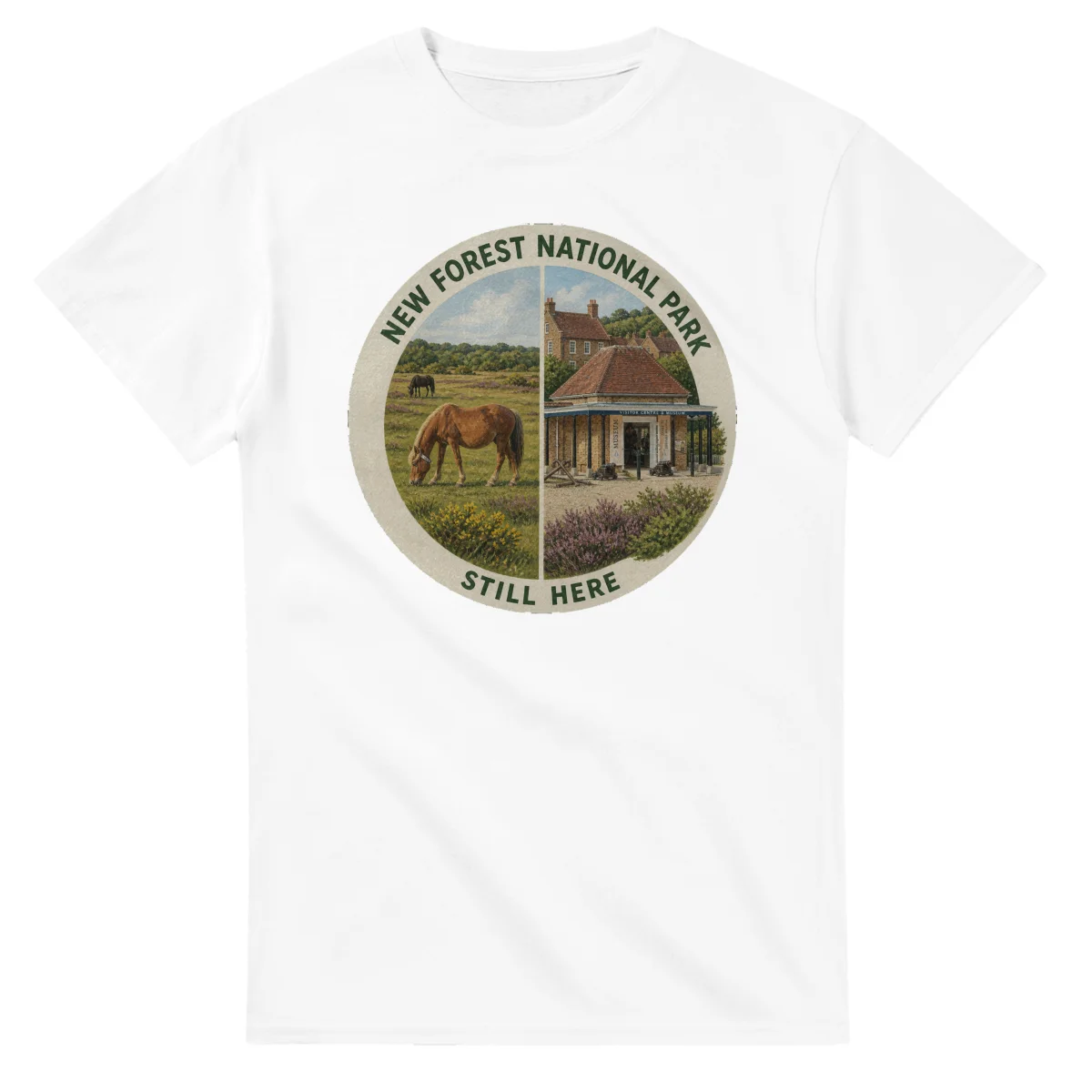 Painted, panelled scenic illustration for New Forest National Park, with paired local scenes and the place name in lettering.