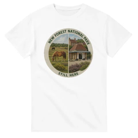 Painted, panelled scenic illustration for New Forest National Park, with paired local scenes and the place name in lettering.