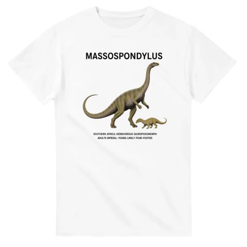 Massospondylus - Artist's Impression