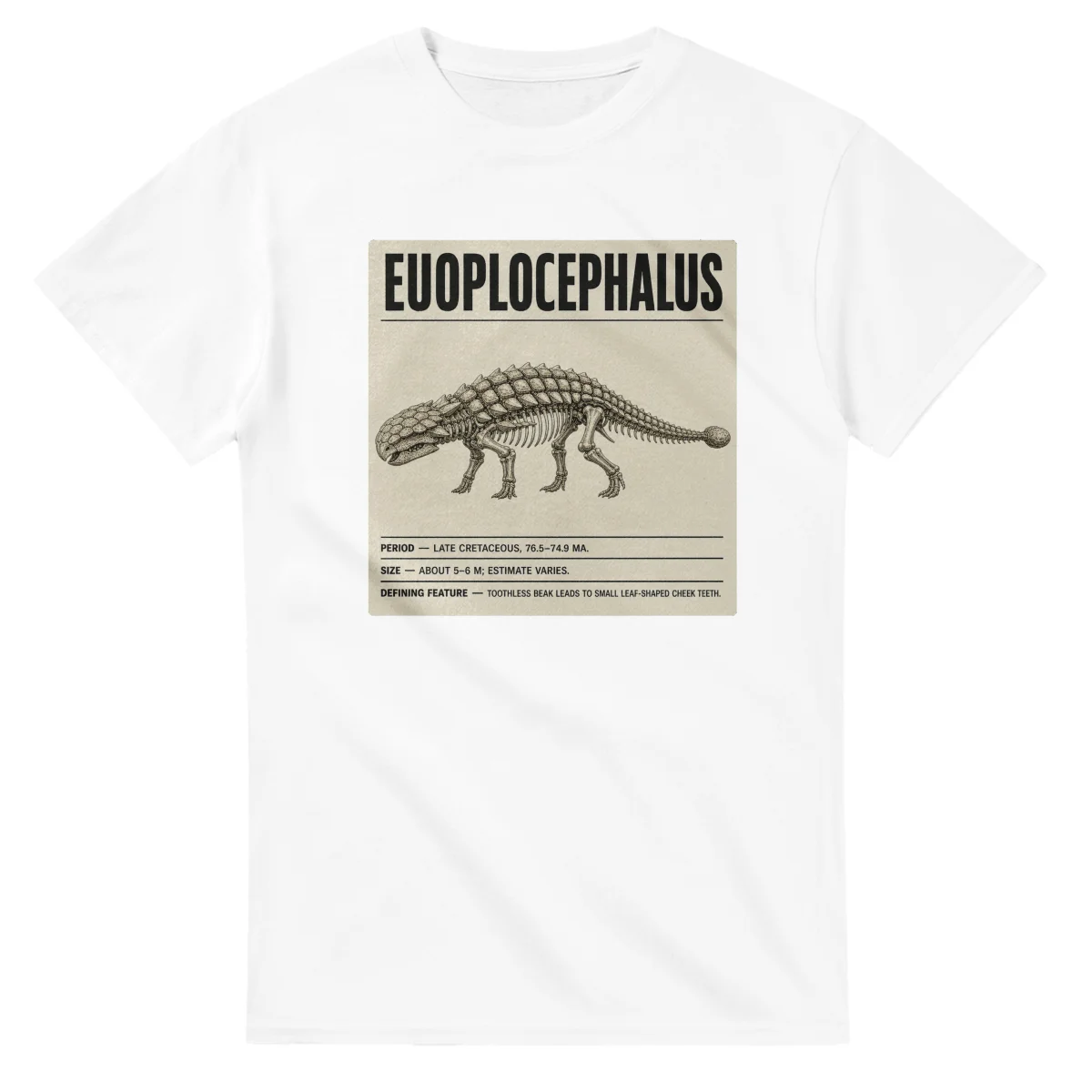 Euoplocephalus - Set in Stone