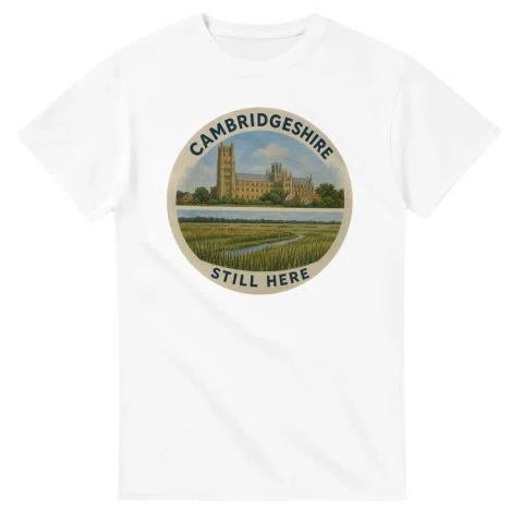 Painted, panelled scenic illustration for Cambridgeshire, with paired local scenes and the place name in lettering.