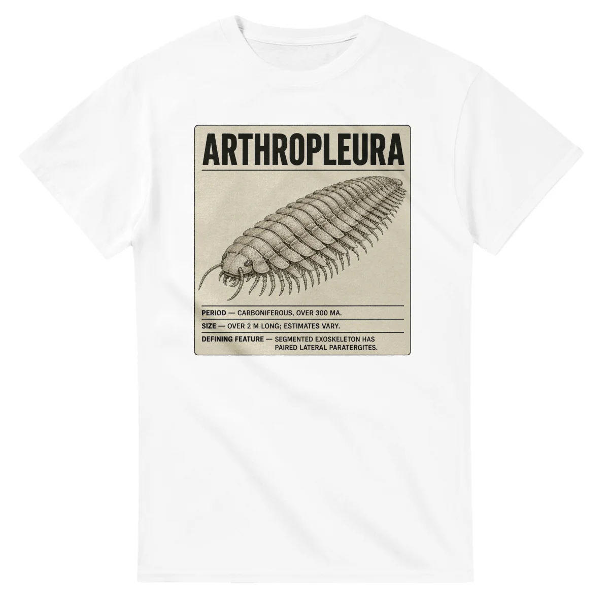 Arthropleura - Set in Stone