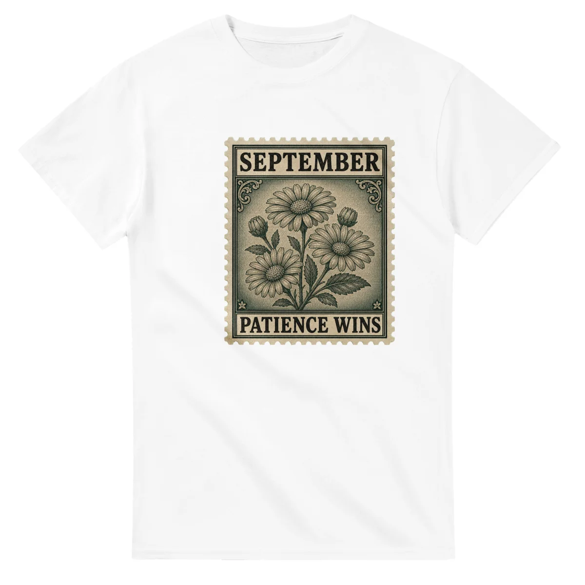 September Aster - Patience Wins (First Class)