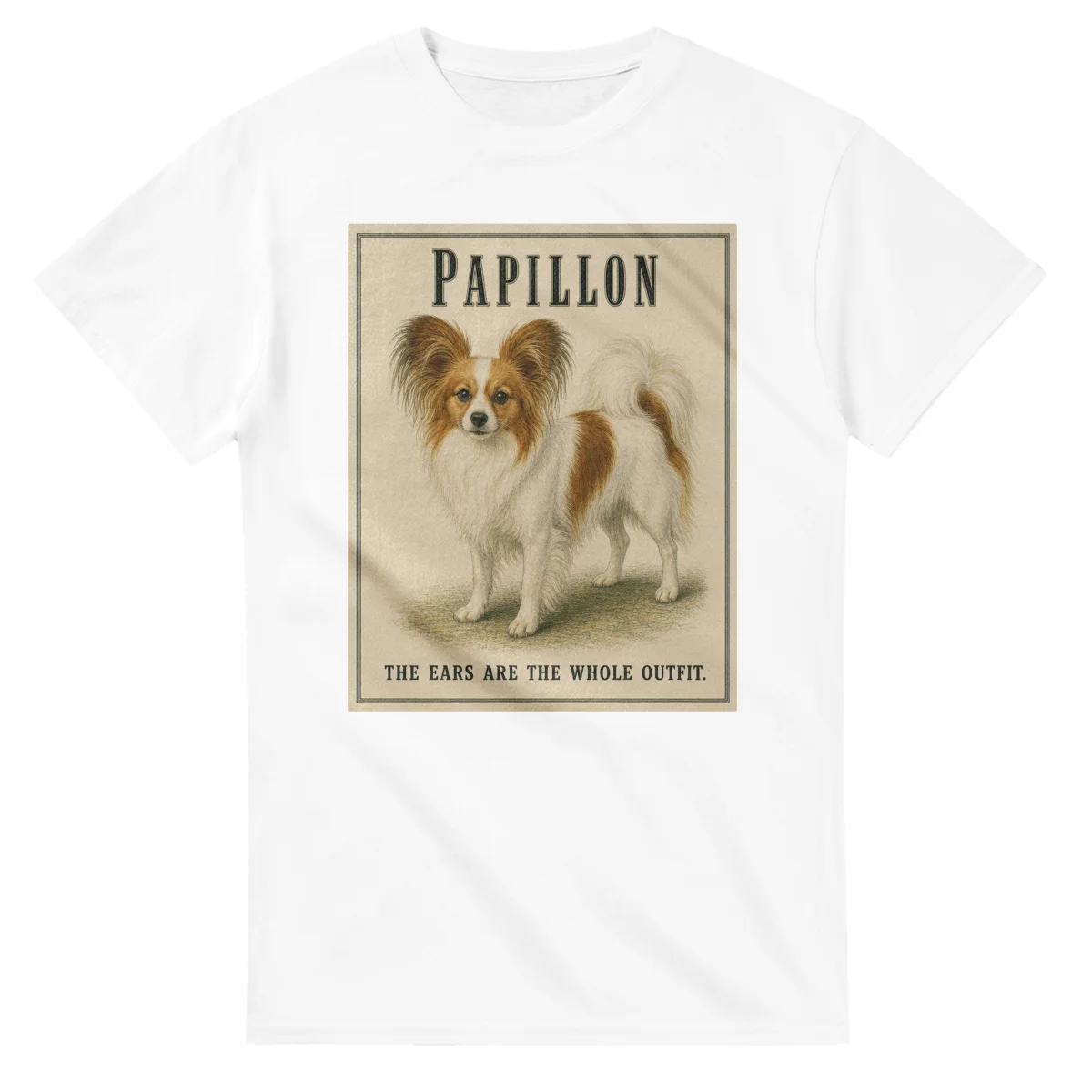 Papillon - Well Bred