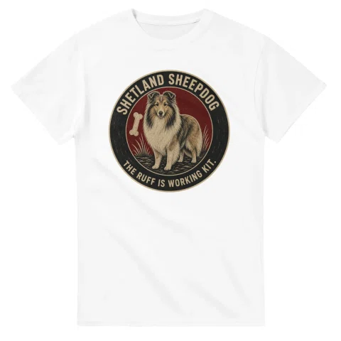 Shetland Sheepdog - Best in Show