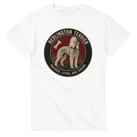 Bedlington Terrier - Arched, Lithe, and Sharp