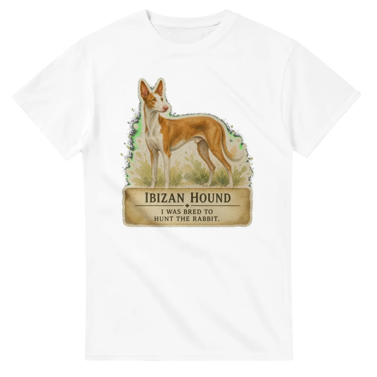 Ibizan Hound - Working Roots