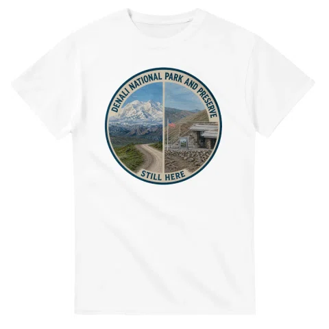 Painted, panelled scenic illustration for Denali National Park and Preserve, with paired local scenes and the place name in lettering.
