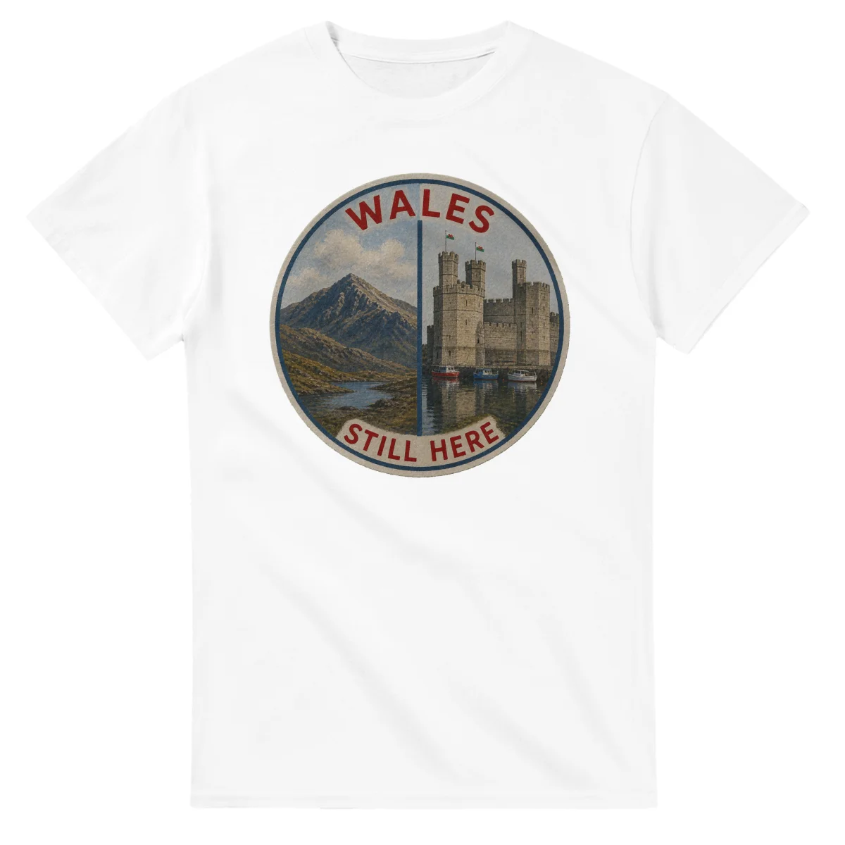 Painted, panelled scenic illustration for Wales, with paired local scenes and the place name in lettering.