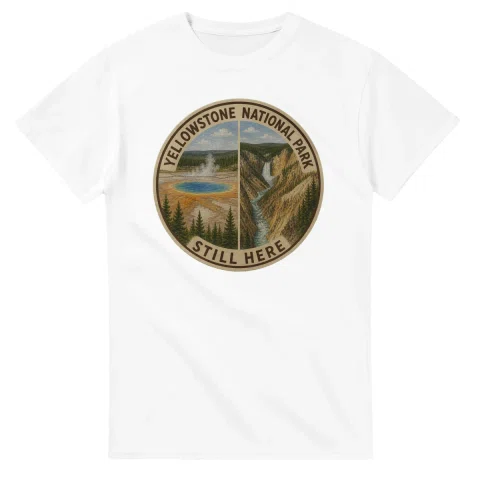 Painted, panelled scenic illustration for Yellowstone National Park, with paired local scenes and the place name in lettering.