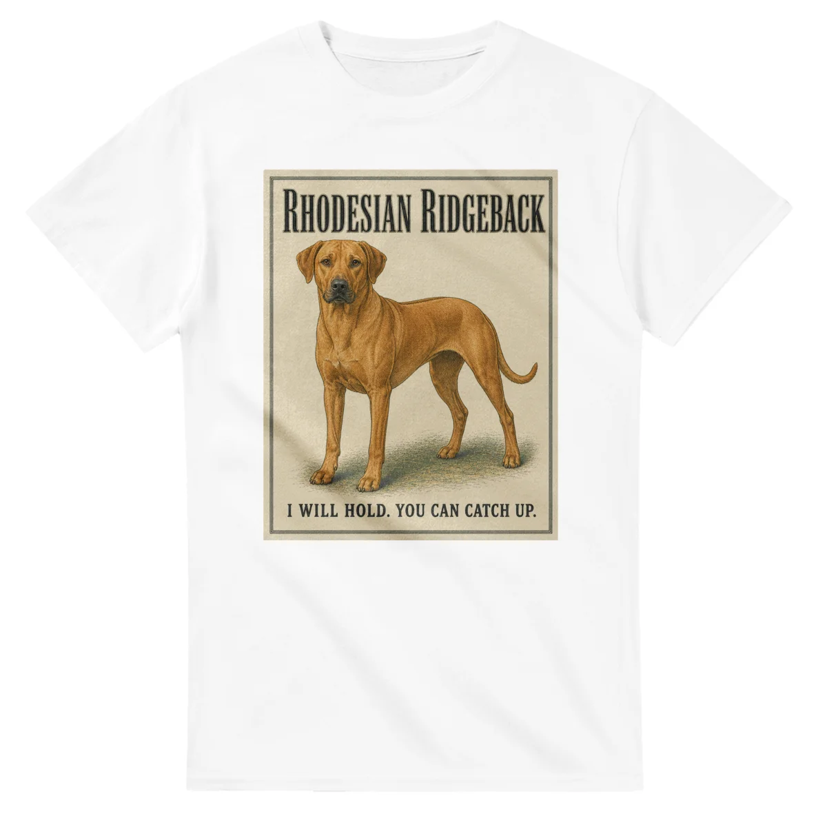 Rhodesian Ridgeback - Well Bred