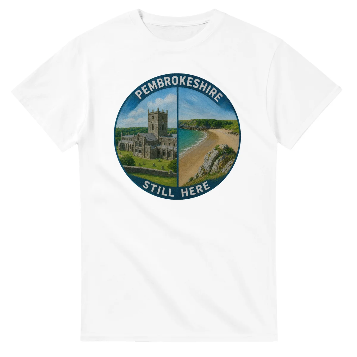Painted, panelled scenic illustration for Pembrokeshire, with paired local scenes and the place name in lettering.