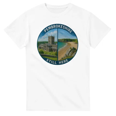 Painted, panelled scenic illustration for Pembrokeshire, with paired local scenes and the place name in lettering.