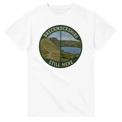 Painted, panelled scenic illustration for Brecknockshire, with paired local scenes and the place name in lettering.