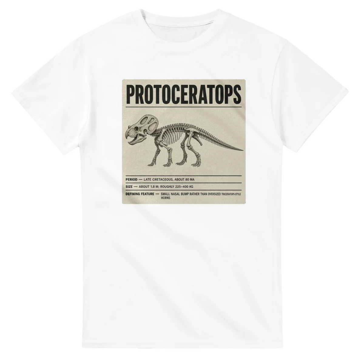 Protoceratops - Set in Stone