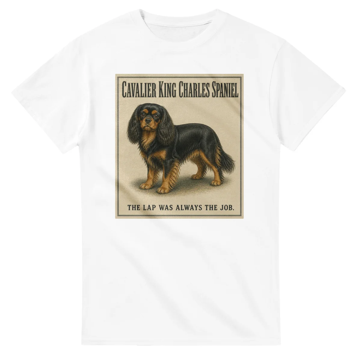 Cavalier King Charles Spaniel - Well Bred