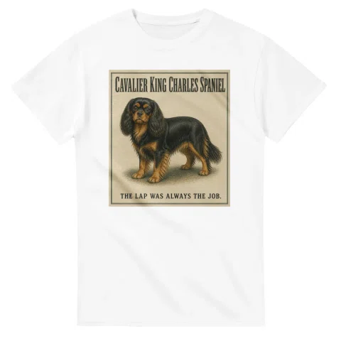 Cavalier King Charles Spaniel - Well Bred