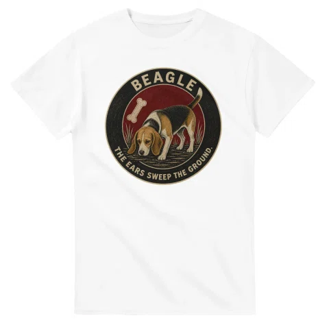 Beagle - Best in Show