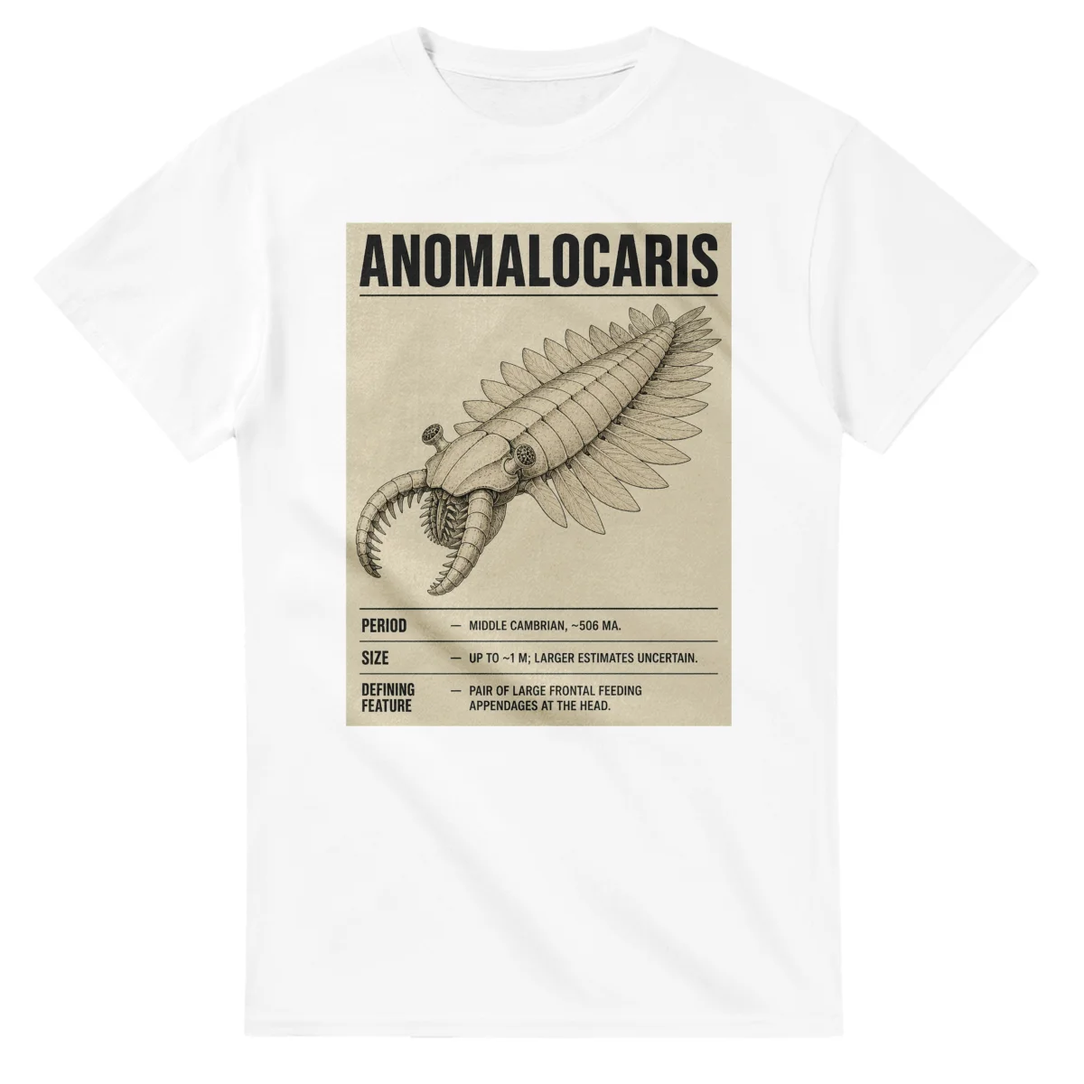 Anomalocaris - Set in Stone