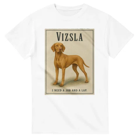 Vizsla - Well Bred