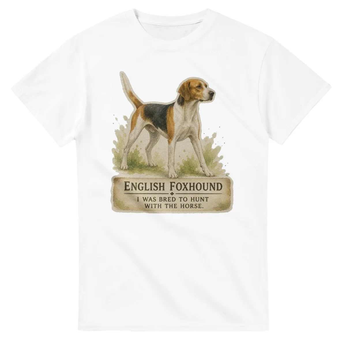 English Foxhound - Working Roots