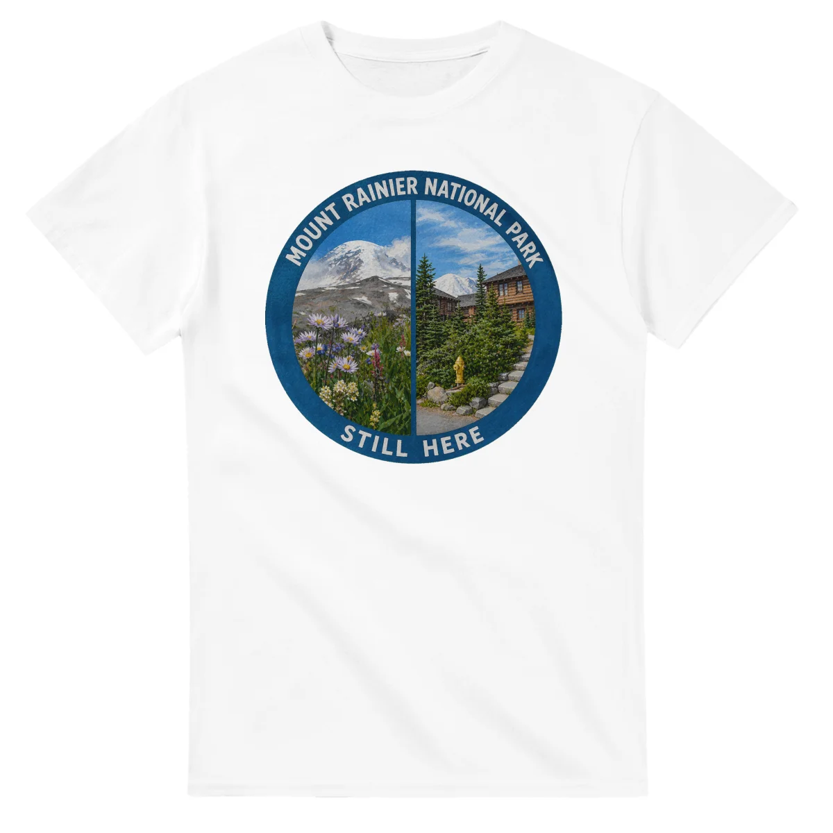 Painted, panelled scenic illustration for Mount Rainier National Park, with paired local scenes and the place name in lettering.