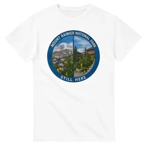 Painted, panelled scenic illustration for Mount Rainier National Park, with paired local scenes and the place name in lettering.