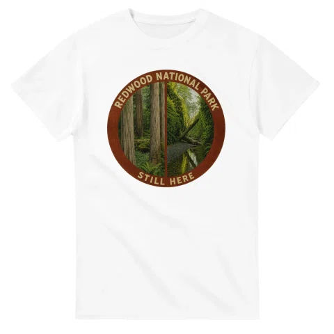 Painted, panelled scenic illustration for Redwood National Park, with paired local scenes and the place name in lettering.