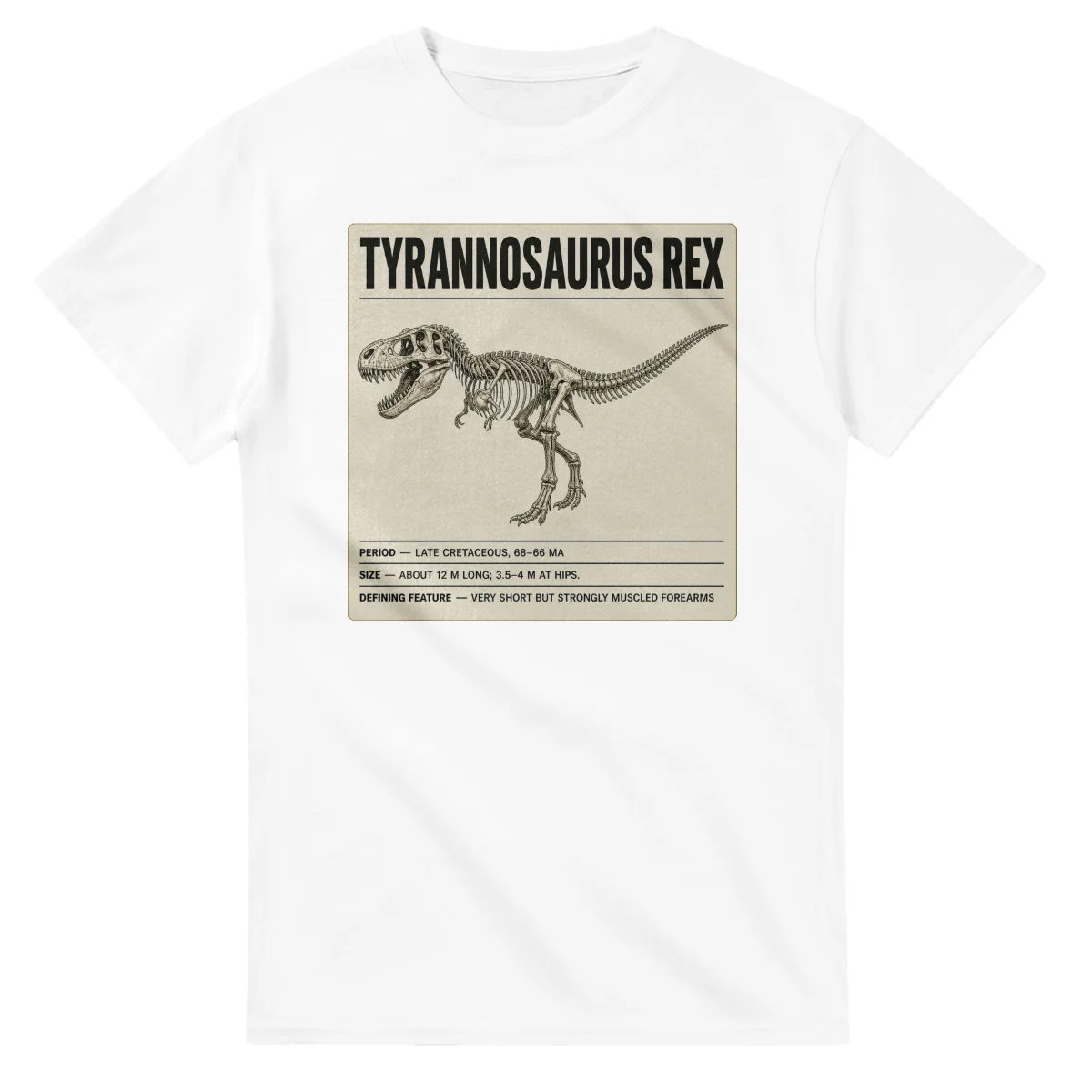 Tyrannosaurus rex - Set in Stone