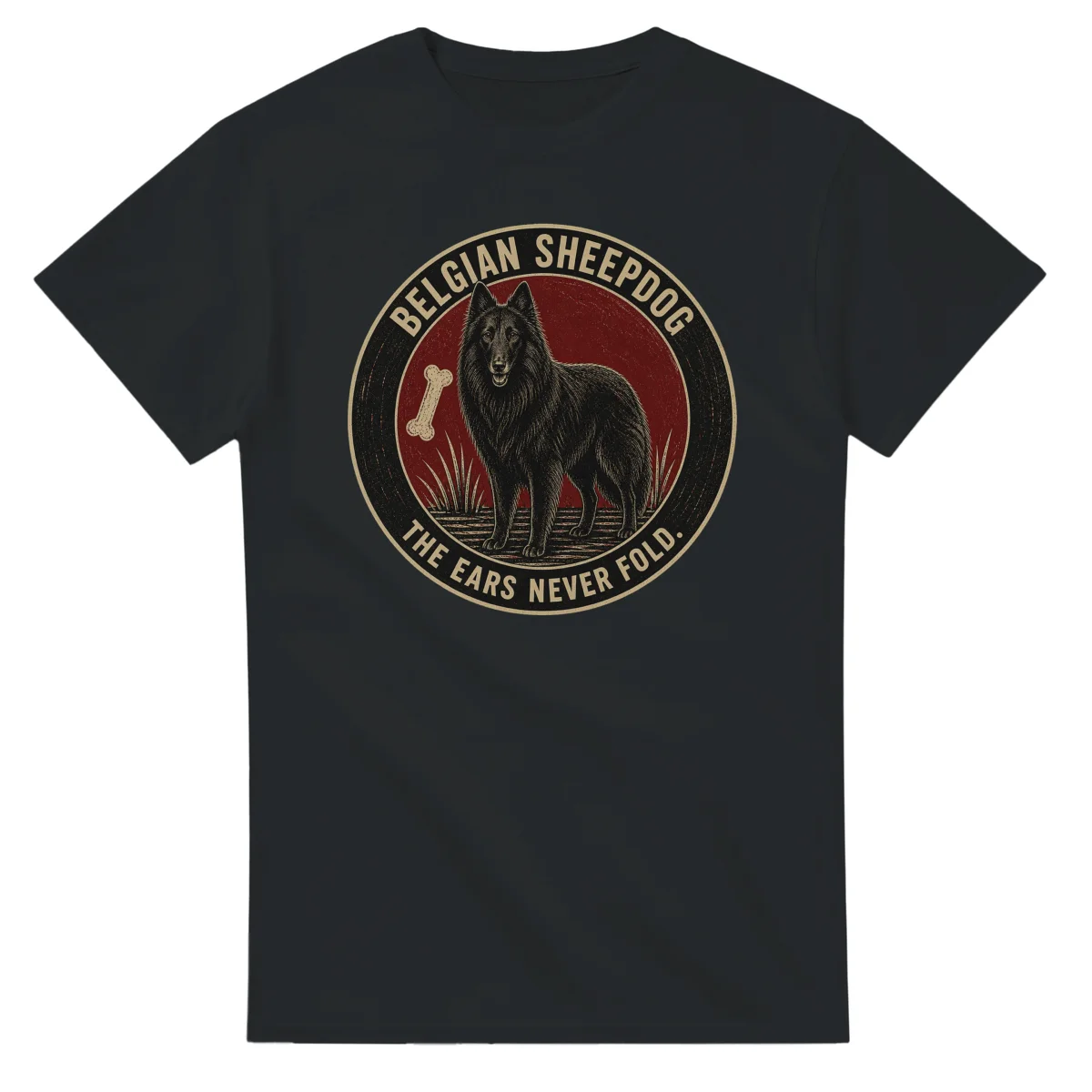 Belgian Sheepdog - The Ears Never Fold