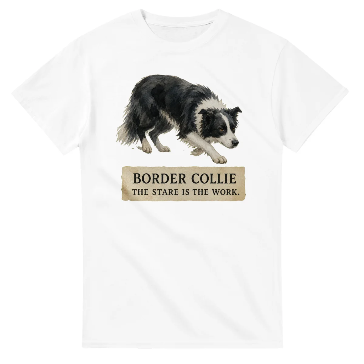 Border Collie - Working Roots