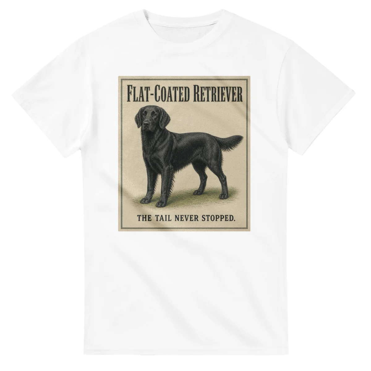 Flat-Coated Retriever - Well Bred