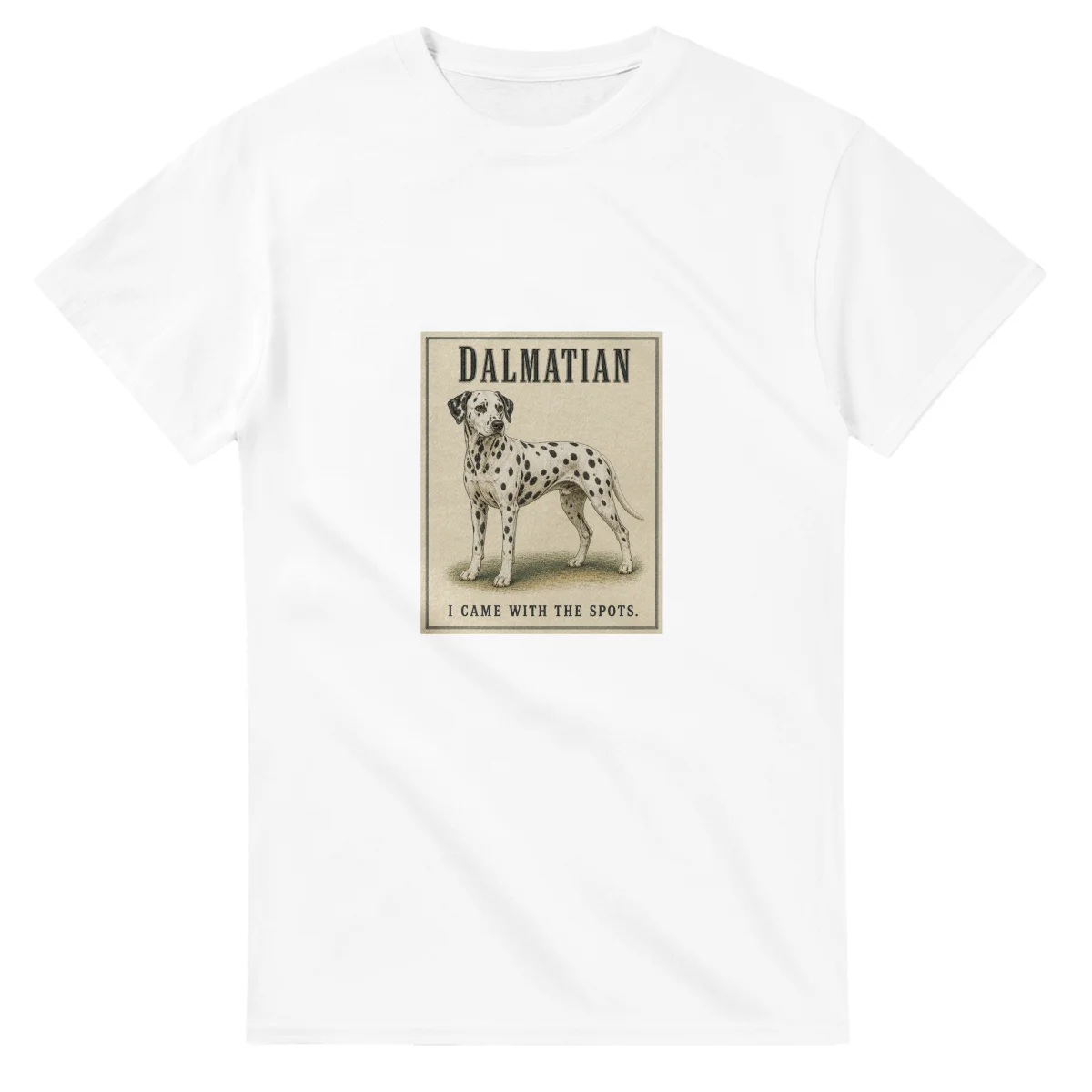 Dalmatian - Well Bred