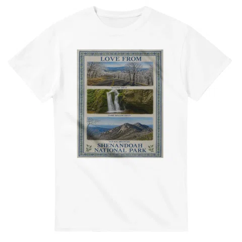 Framed scenic design for Shenandoah National Park, with several local views, a decorative border and LOVE FROM lettering.