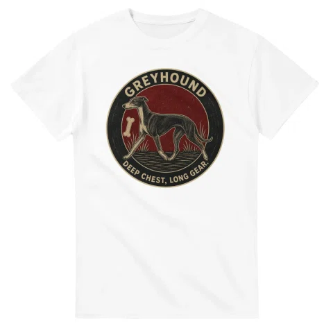 Greyhound - Deep Chest, Long Gear