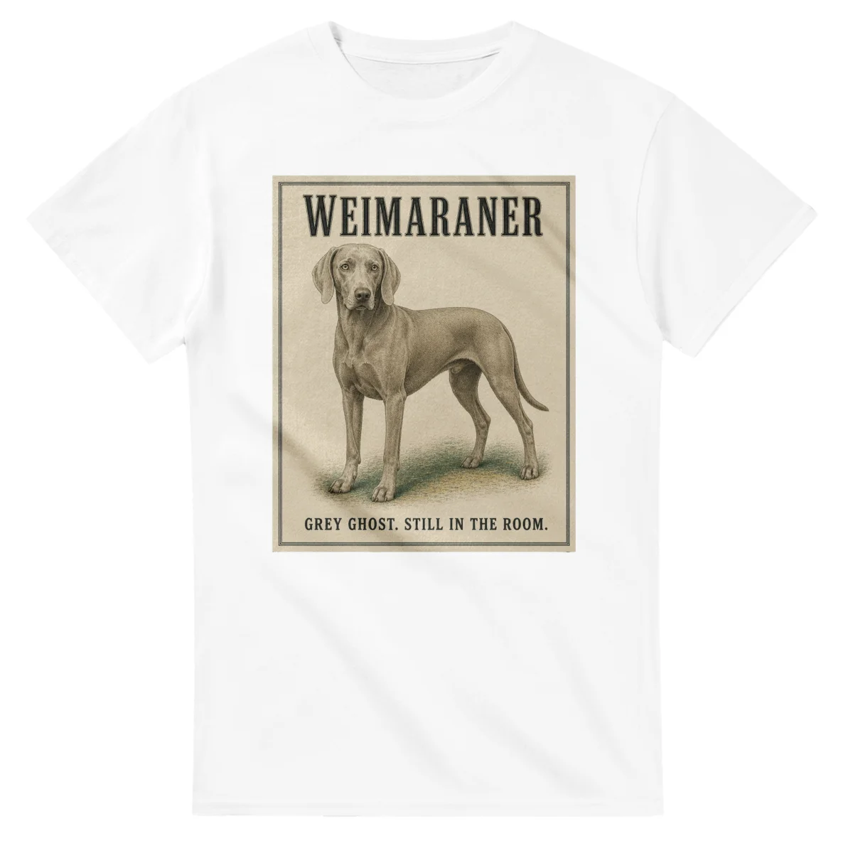 Weimaraner - Well Bred